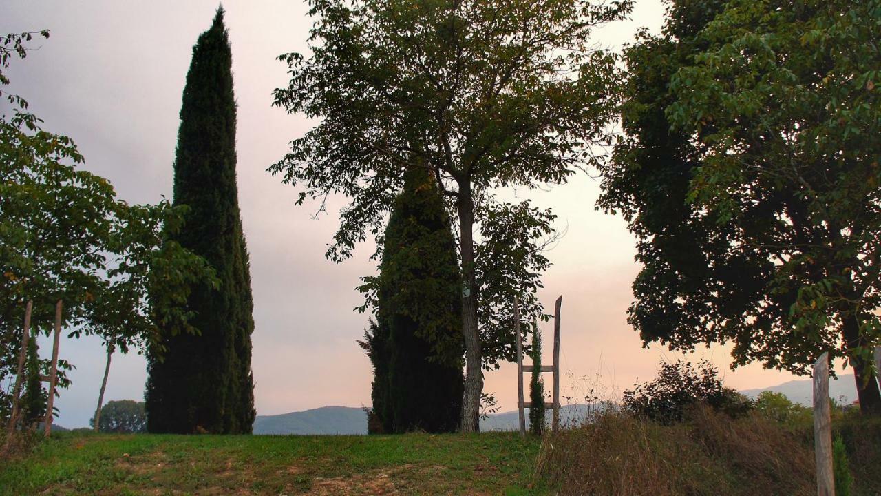 Agriturismo Casa Agricola Rossi Appartamenti In Casentino Soci Eksteriør billede