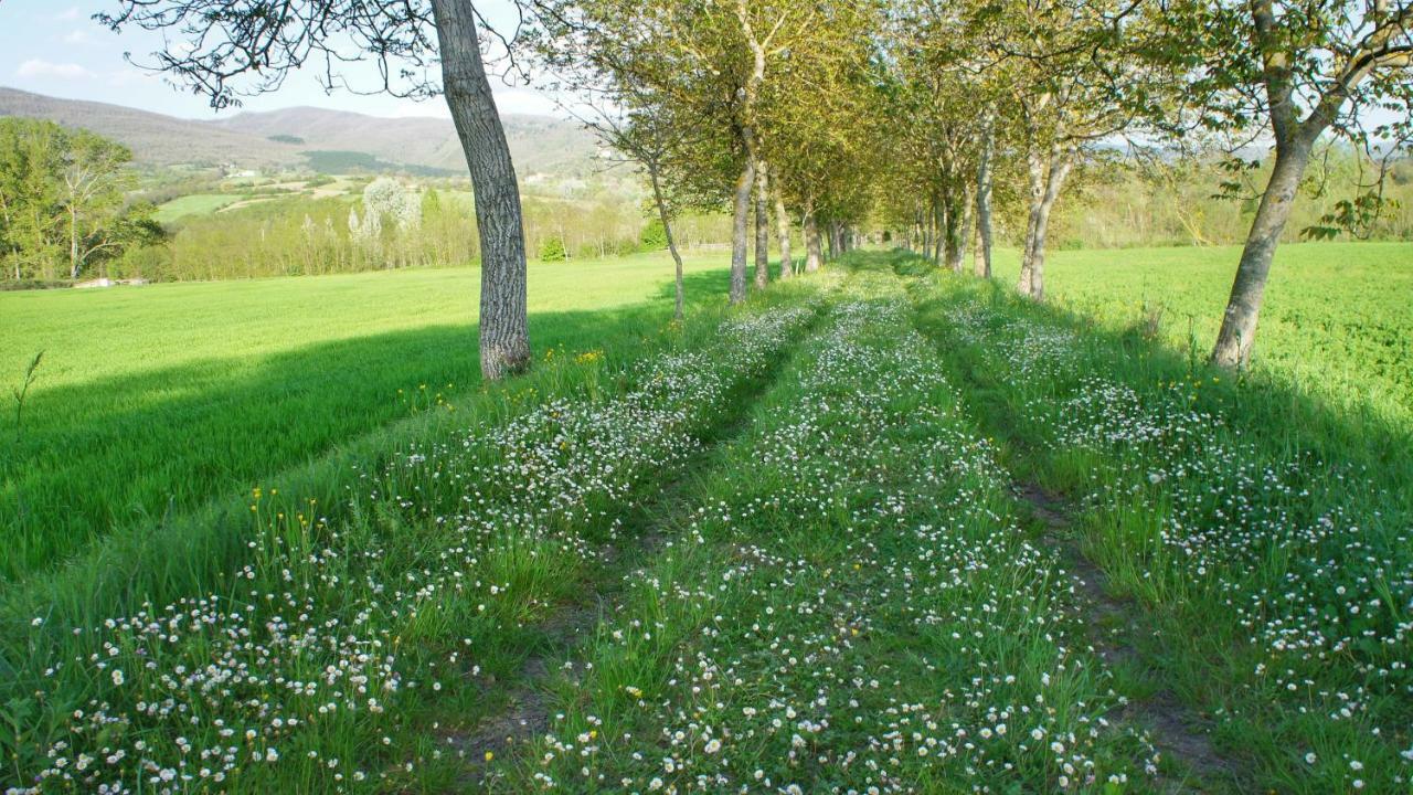 Agriturismo Casa Agricola Rossi Appartamenti In Casentino Soci Eksteriør billede