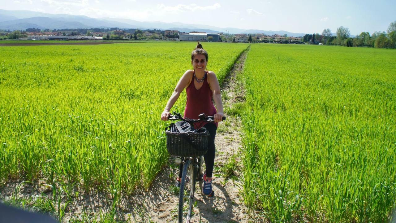 Agriturismo Casa Agricola Rossi Appartamenti In Casentino Soci Eksteriør billede
