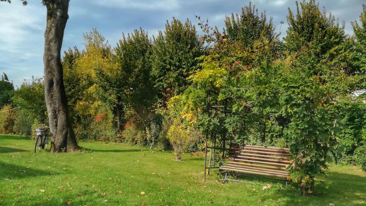 Agriturismo Casa Agricola Rossi Appartamenti In Casentino Soci Eksteriør billede