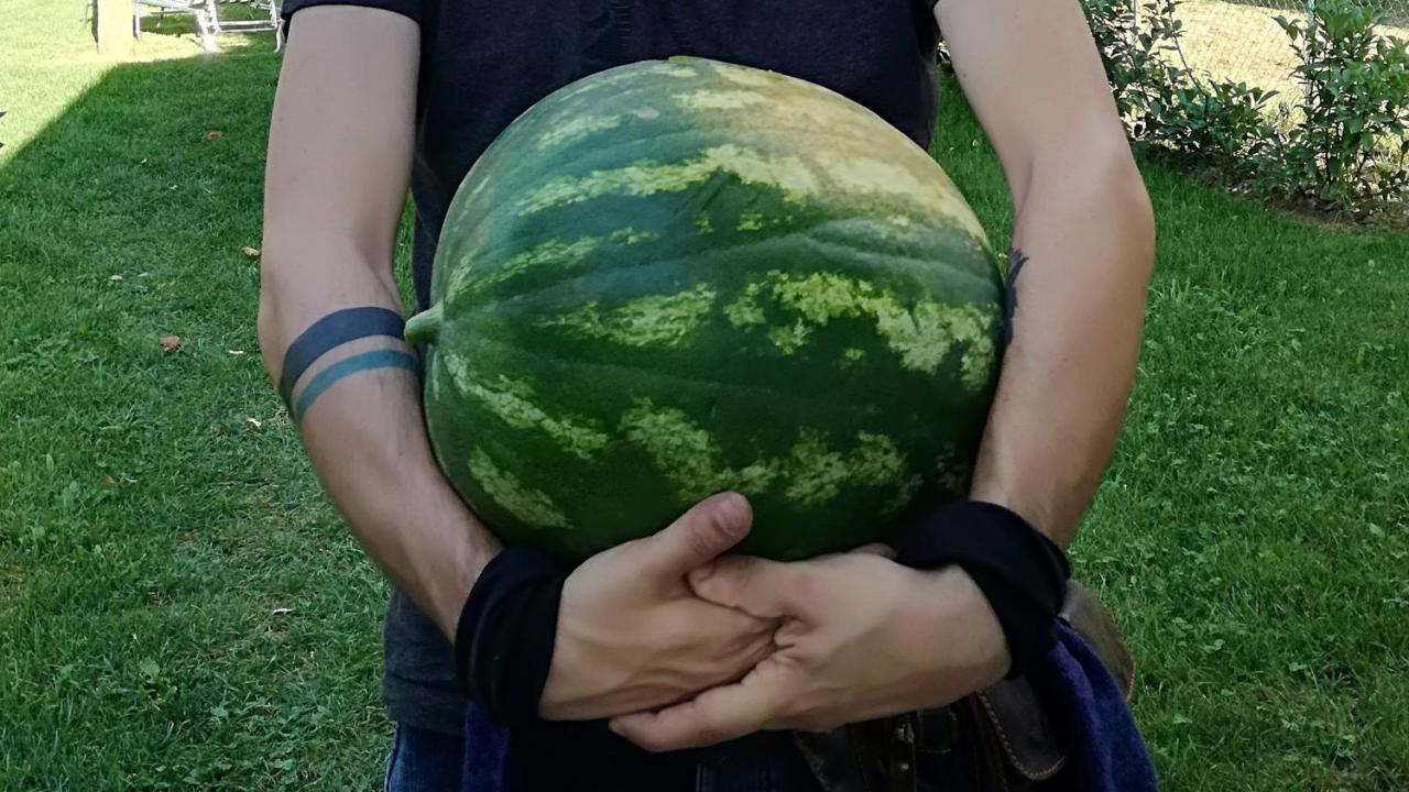 Agriturismo Casa Agricola Rossi Appartamenti In Casentino Soci Eksteriør billede