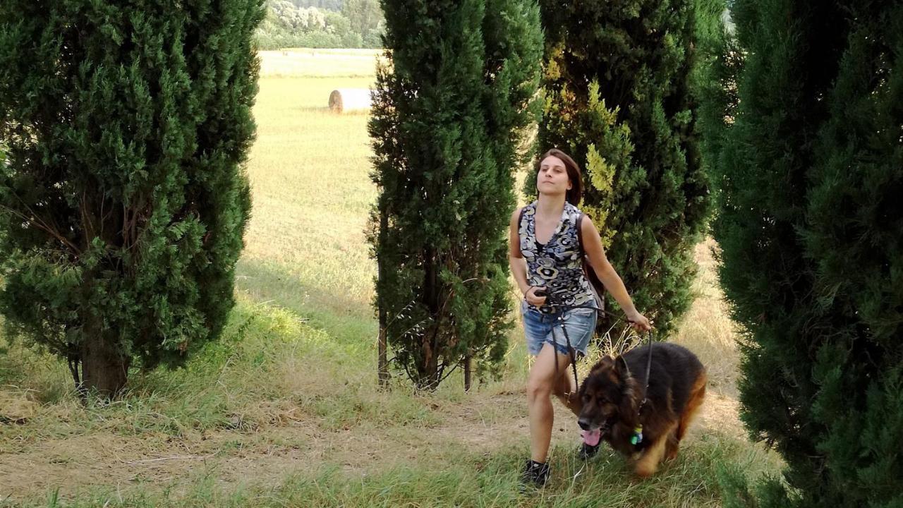 Agriturismo Casa Agricola Rossi Appartamenti In Casentino Soci Eksteriør billede