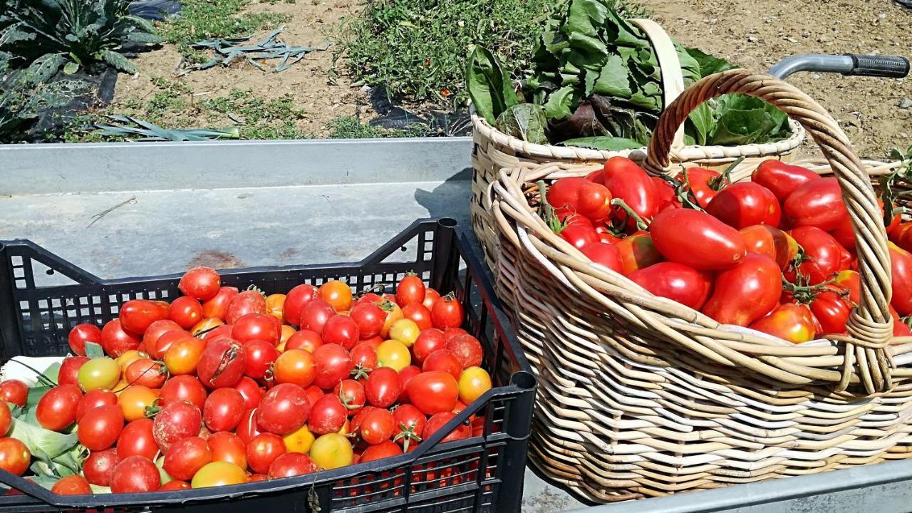 Agriturismo Casa Agricola Rossi Appartamenti In Casentino Soci Eksteriør billede